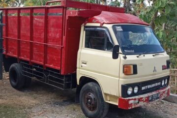 Jual truck sragen