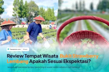 Review Wisata Bukit Strawberry Lembang Bandung Ternyata Gak Seindah yang Ku Kira