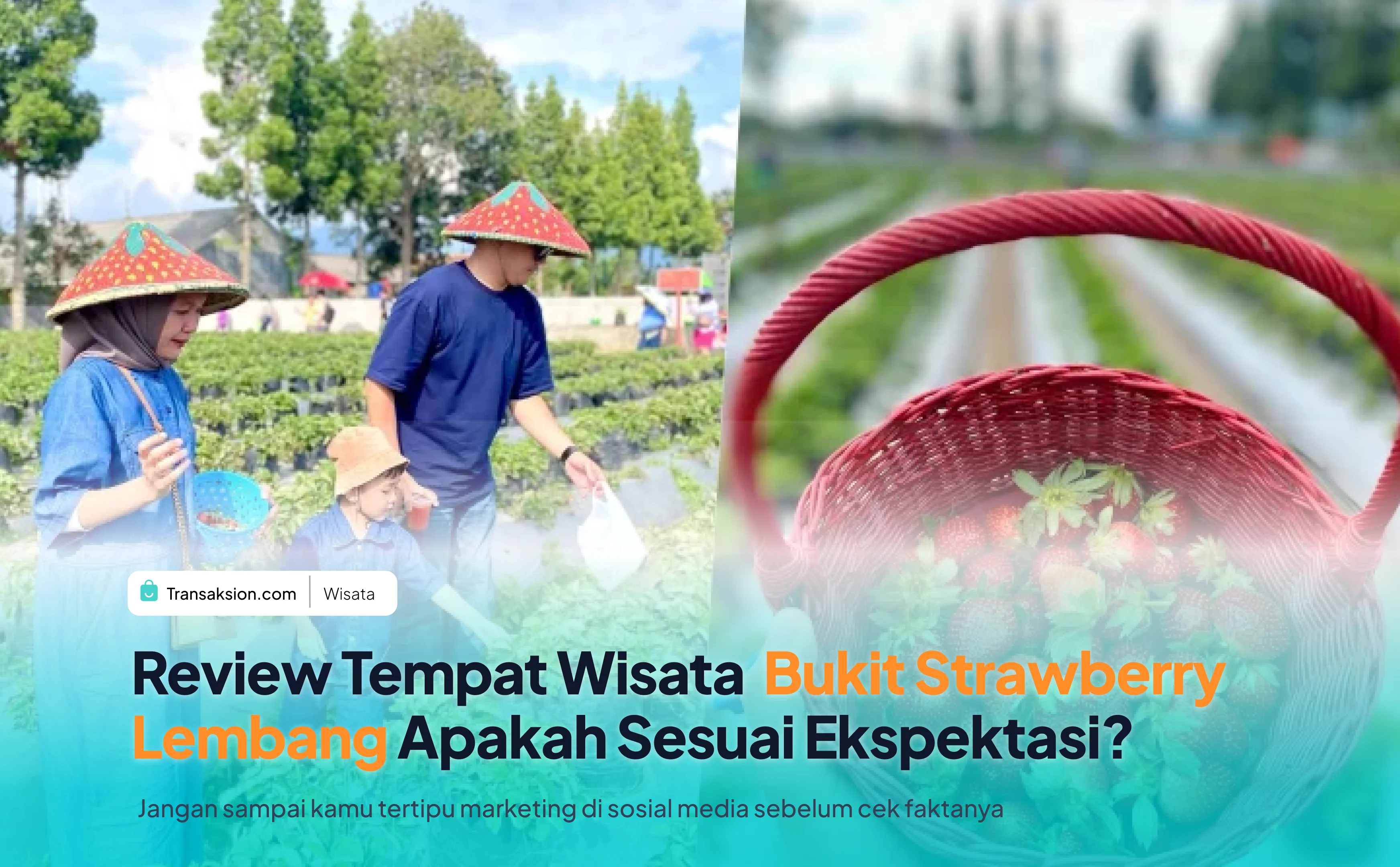 Bukit Strawberry Lembang